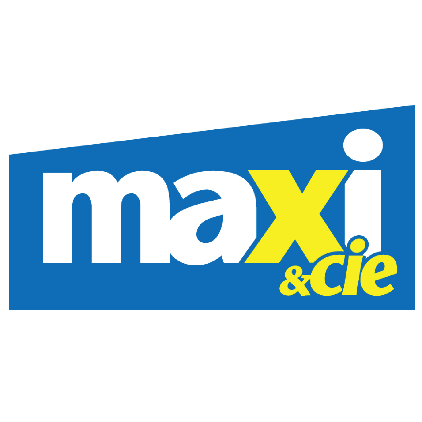 MAXI logo